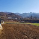 죽림정사~동화호 이미지