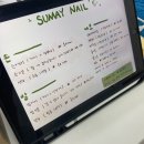 수메이네일