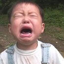드래곤컴퍼니 이미지