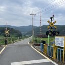 피자스쿨 벌교점 이미지