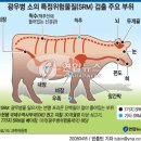 양지요리제과제빵학원