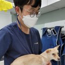 동물병원 Dr.정 이미지