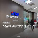 임산부 백일해 예방접종 주사 시기 가격 대구KMI 후기