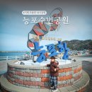 능포로 | 거제 능포수변공원 한적한 바다 거제도 낚시공원