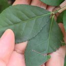 활터어린이공원 이미지