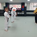 용인대정현태권도장 이미지