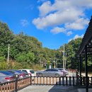 스테이단감 | 지장정사 템플스테이 1박2일 체험형 후기