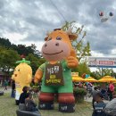 예천군농특산물직판매장 | [강원도|홍천] 10월 강원도 축제 <2024 인삼 한우 명품축제> 주차정보, 먹거리, 축제 일정, 라인업
