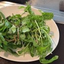 장단콩 두부특화거리 이미지