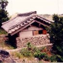 박인택 Daum카페