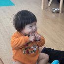 대소동물병원 | 이른둥이 15~17개월 언어 발달, 말 늦은 아이 실제 변화 기록