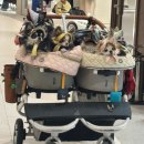 종로-신영-종로-영-380 | 1월 올해는 조금 더 나아게 솔직해지자고요