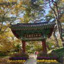 백수문학관 세미나실 | 단풍으로 물들어 가는 김천 직지사 사명대사공원