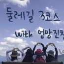 노고지리민박 네이버블로그