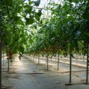 최율 농장 이미지