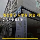 일산동구 요양원 맞춤 케어 은빛사랑요양원 체계적 프로그램과 식단 관리 안내