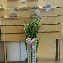 쪼만한 세상 미니어처 이미지