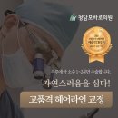 장헤어라인 - 아산시 | 장헤어라인