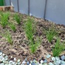 세교유치원 이미지