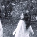 수지2 이미지