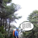 꿈의 섬,낭만의 섬..제주도 한라산 특별 산행기(07.4.21,22) 이미지