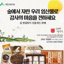 기획판매