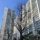 라인5차 | [당산] 당산현대5차 임장 후기