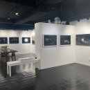 포토 프렌즈 이미지