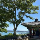 완도 신흥사 목조약사여래좌상 이미지