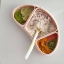 중기이유식 식단표 1단계 2단계 토핑이유식 두끼 스케줄 먹는 양 공유(비번 없음)