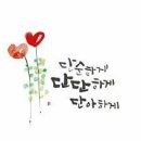 수채화캘리그라피 이미지