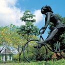 센스여행사(주) 이미지