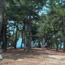 용인양계 | 찍먹여행 2024.04.06~04.07 📍강릉강문떡갈비/경포팔도강산/서울양계/하슬라가배/짬뽕순두부초당애/오죽헌