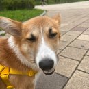 아이조아요양보호소 동탄점 이미지