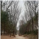 가람어린이공원 이미지