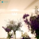 이오하우스 이미지