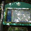 서재골(상) 이미지