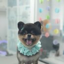 그 남자의 grooming # 공간 이미지