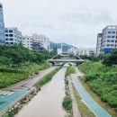 로겐브로트 이미지