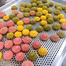 파티쉐디저트지도사 이미지