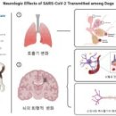 “무서운 코로나19 감염 후유증”…퇴행성 뇌질환 발병 가능성↑ 이미지