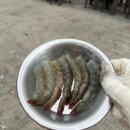 생활한식: 저녁 반찬 만들어가기 이미지