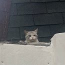 오파프부산 이미지