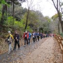 노르딕워킹 이미지