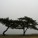 하늘호수2 이미지