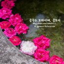 쇠뫼기 이미지