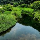 내천농장 이미지