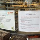 HK노엘