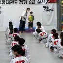 수영태권도아카데미 이미지