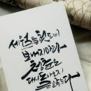 마라청춘 이미지